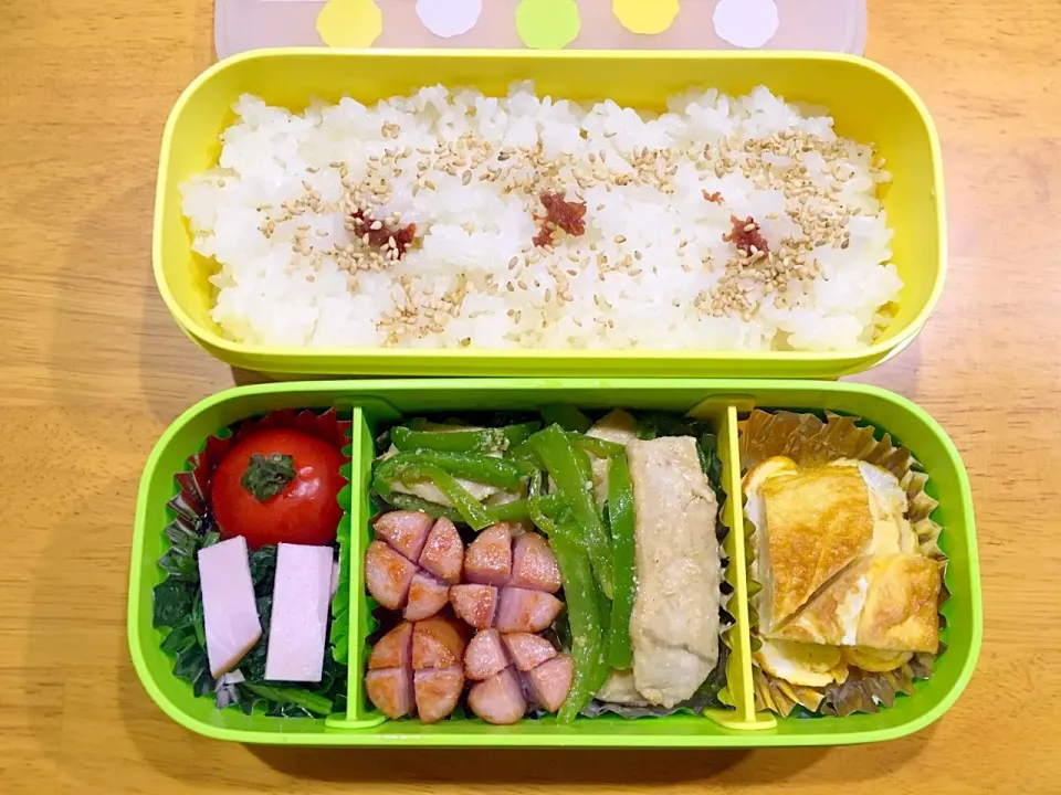 Snapdishの料理写真:お弁当.n_n.508|nacchan♪さん