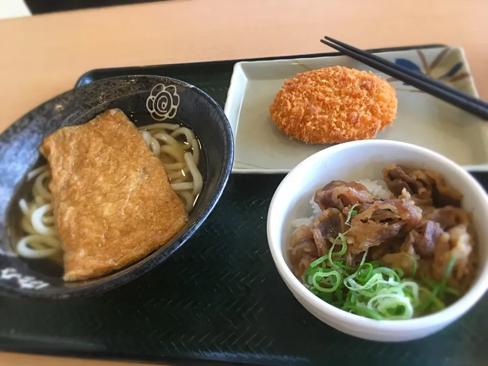 お昼ご飯|チビミミさん