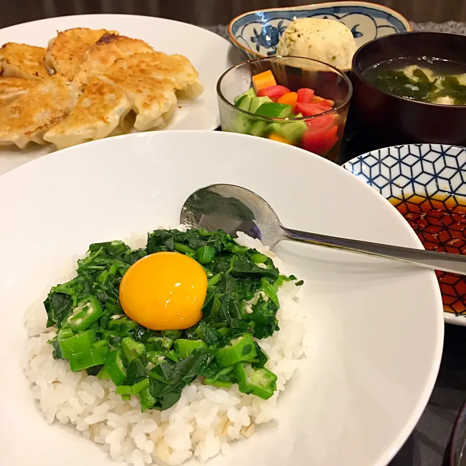 はっぷんさんオススメのモロヘイヤかけご飯🍚と、まめさんが食べてるからしどうふ🌝 あと私の餃子🐖 #モロヘイヤかけご飯|ヨッチャンさん