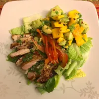 Cilantro Lime Chicken Salad with Mango and Avocado Salsa|Anne Willさん