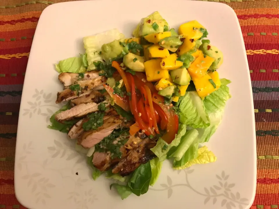 Cilantro Lime Chicken Salad with Mango and Avocado Salsa|Anne Willさん