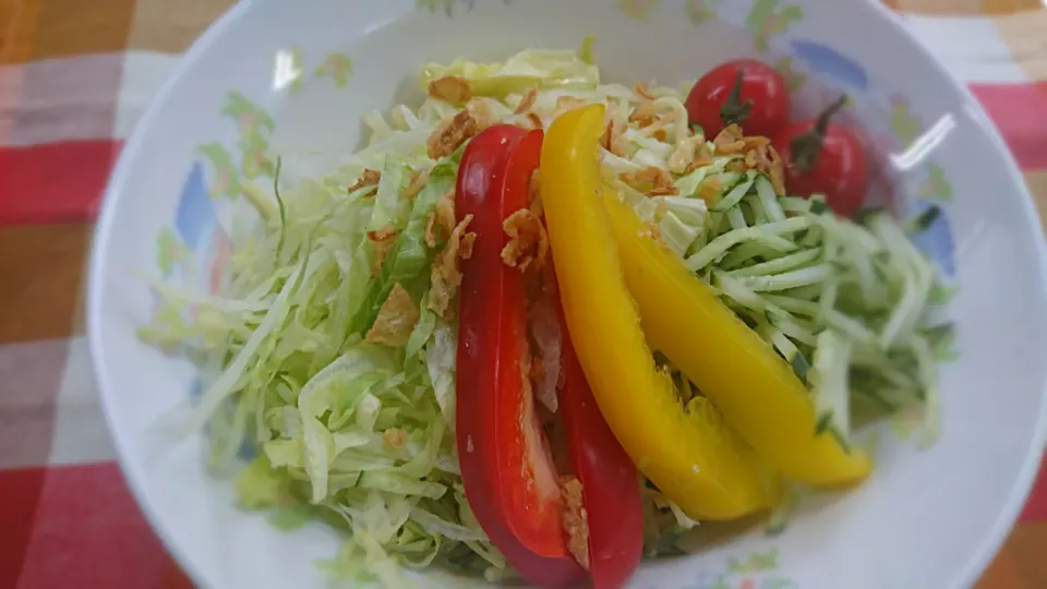 Snapdishの料理写真:野菜たっぷり冷やし麺|よっしー(=^ェ^=)さん