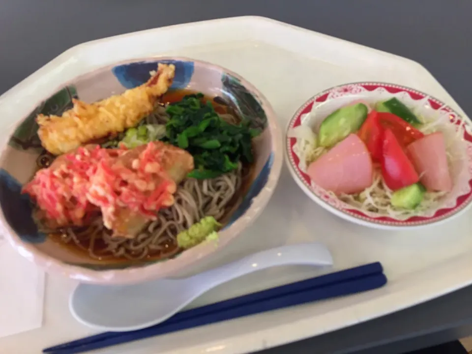 冷しぶっかけ蕎麦、さつま揚の紅生姜揚、かしわ天、ハムサラダ|Tadahiko Watanabeさん