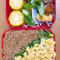 Snapdishの料理写真:そぼろご飯弁当🍱|2493さん