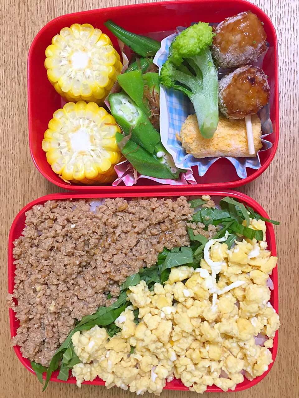 Snapdishの料理写真:そぼろご飯弁当🍱|2493さん