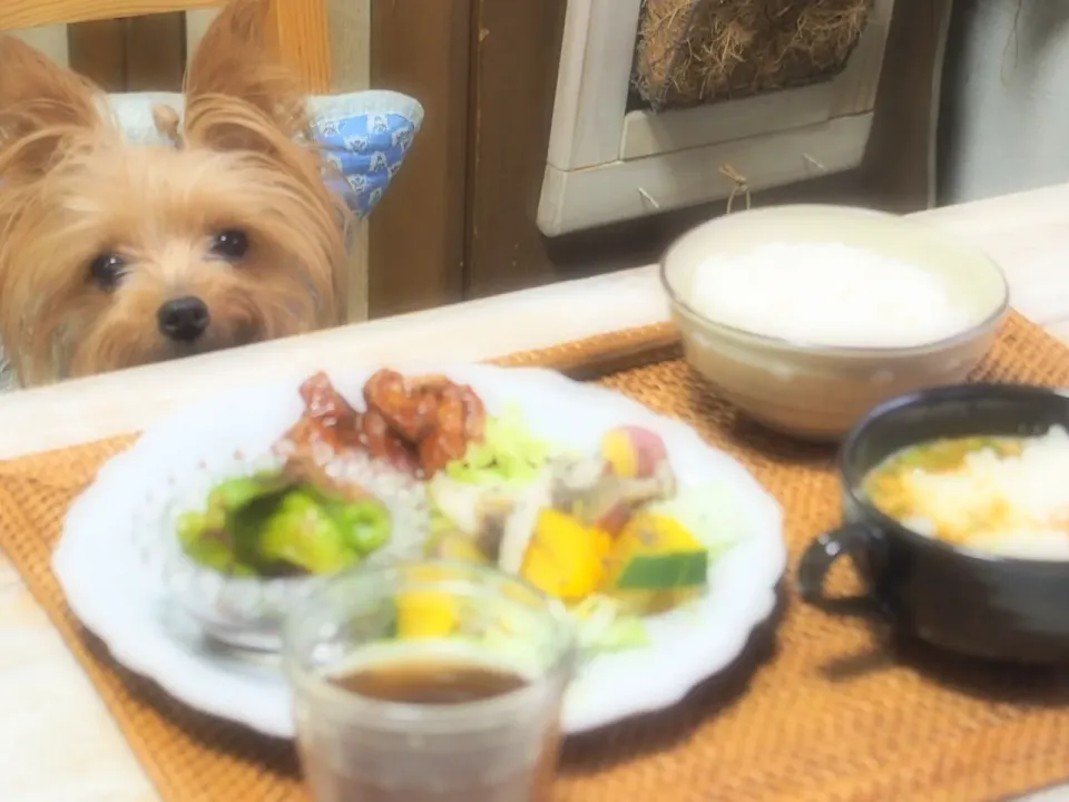 Snapdishの料理写真:#おうちごはん #ワンプレートごはん #ヨークシャテリア #ヨーキー|nana*さん