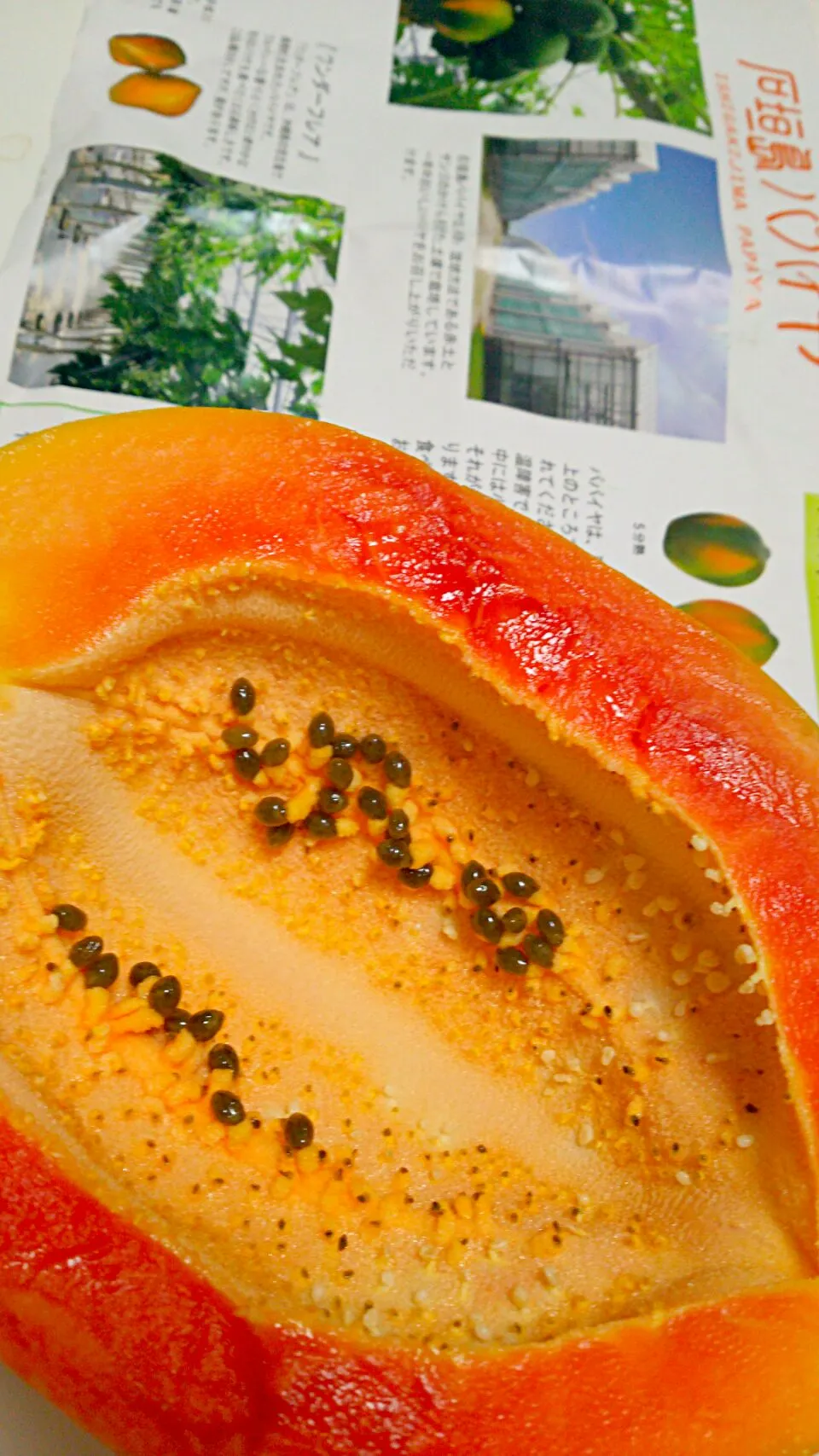 Snapdishの料理写真:Papaya 石垣島パパイヤ #沖縄土産 #パパイヤ   #頂き物|まめさん