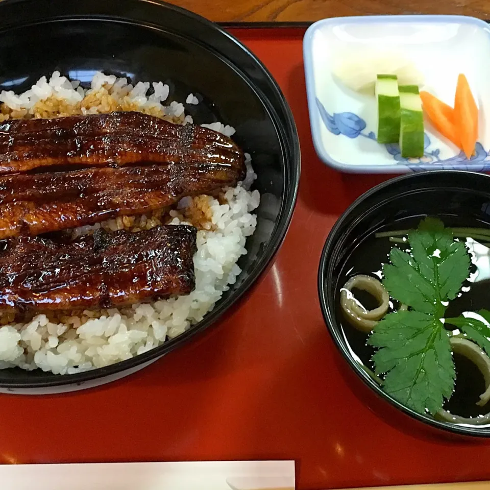 鰻丼|天城心中さん