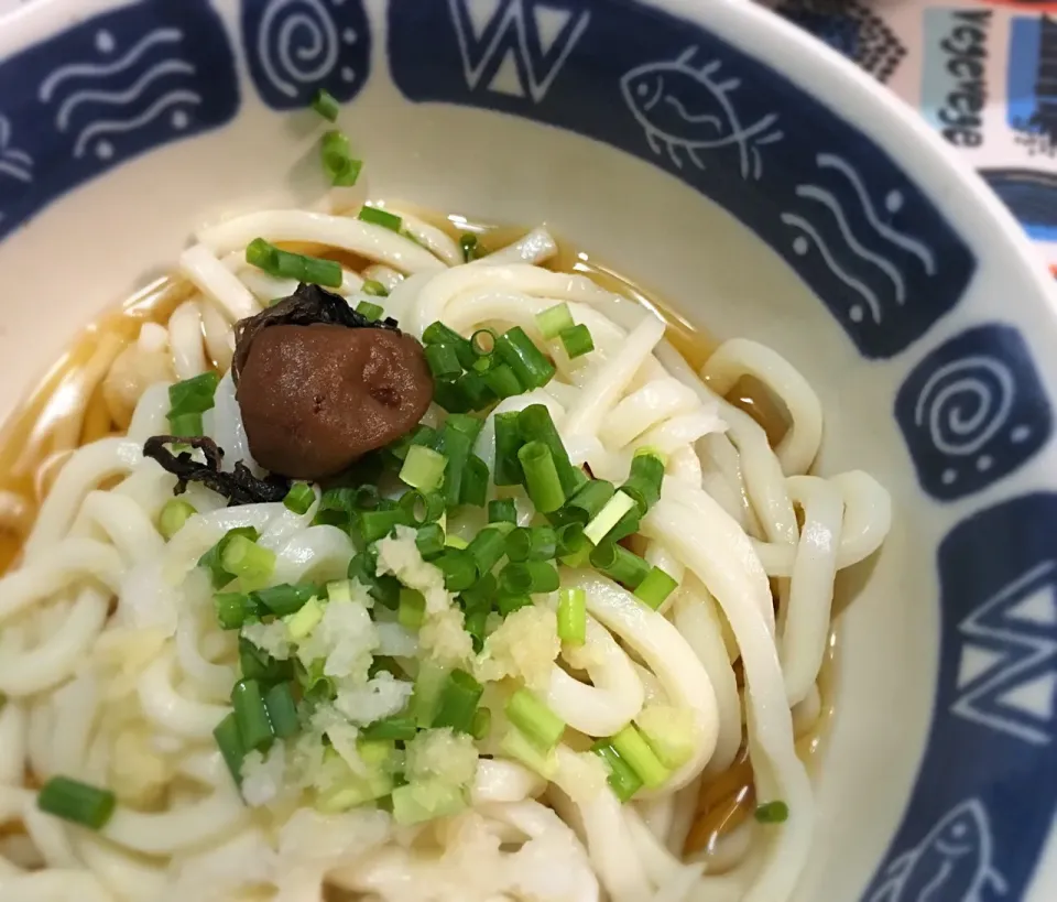 梅おろしぶっかけうどん|じゅんこさん