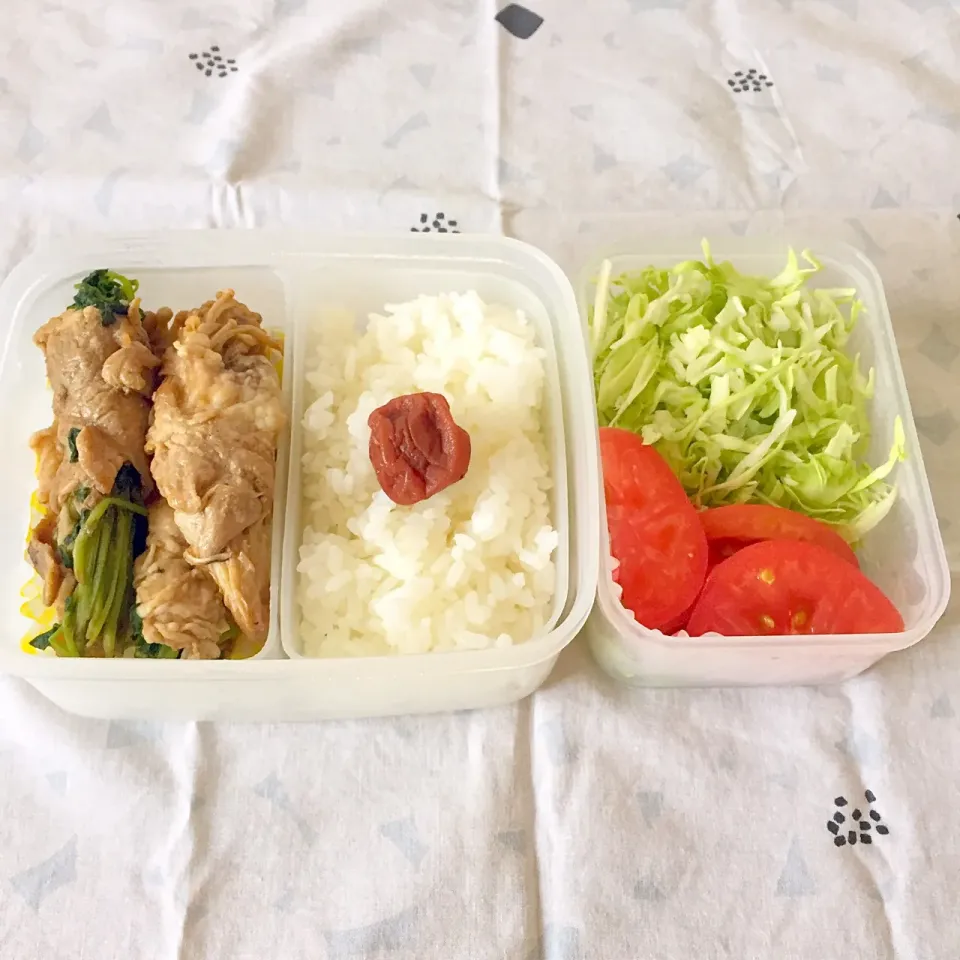 豆苗とえのきの肉巻き弁当|とにおさん