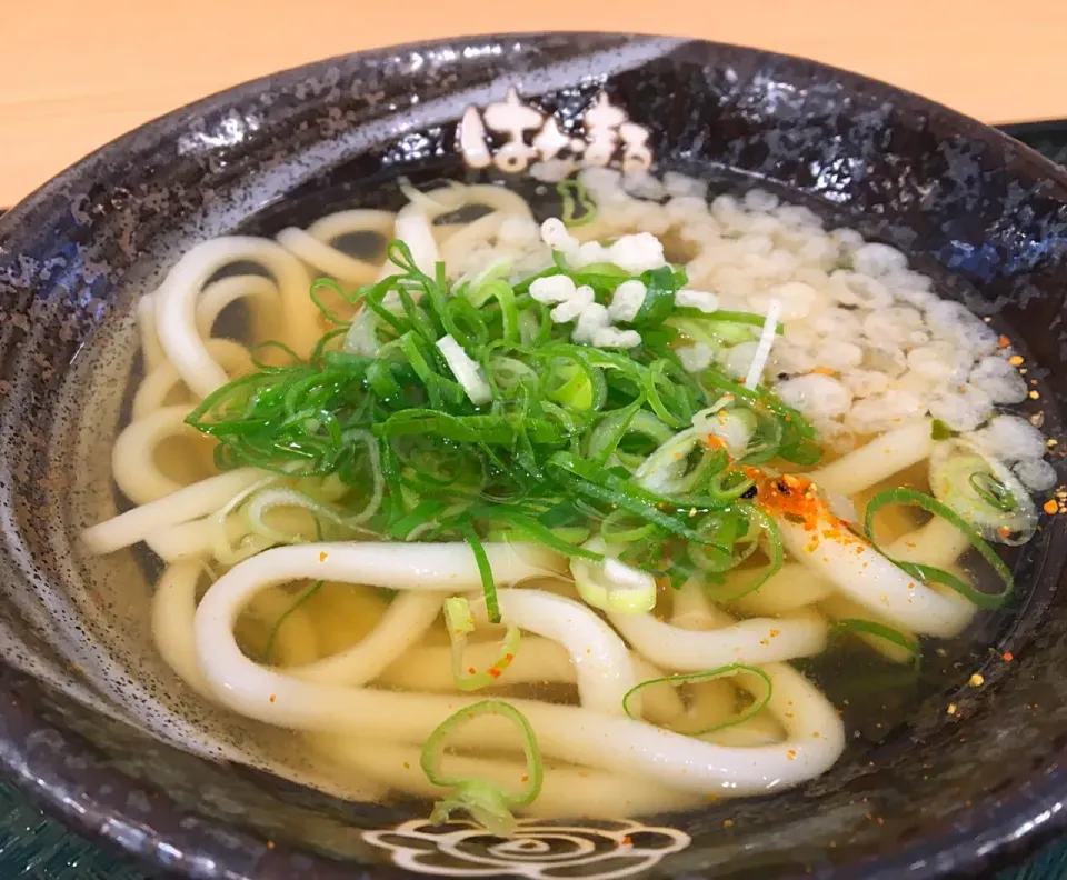 営業マンの昼ごはん   かけうどん小 別注ねぎ  はなまる|ぽんたさん