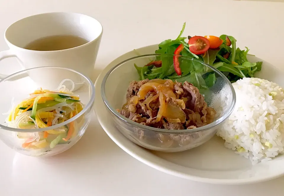 牛皿と春雨サラダプレート🥗|Sachiko  Omiyaさん