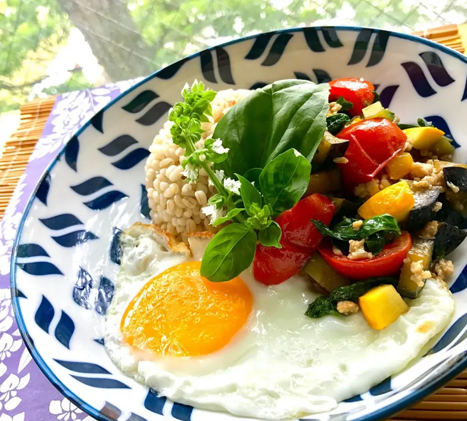 昼ごはん  もち麦ごはん🌾で、またまたガパオライス|砂雪さん