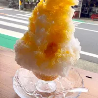 Snapdishの料理写真:伊勢原 大山 トリプルマンゴーオレンジかき氷|EYERINさん