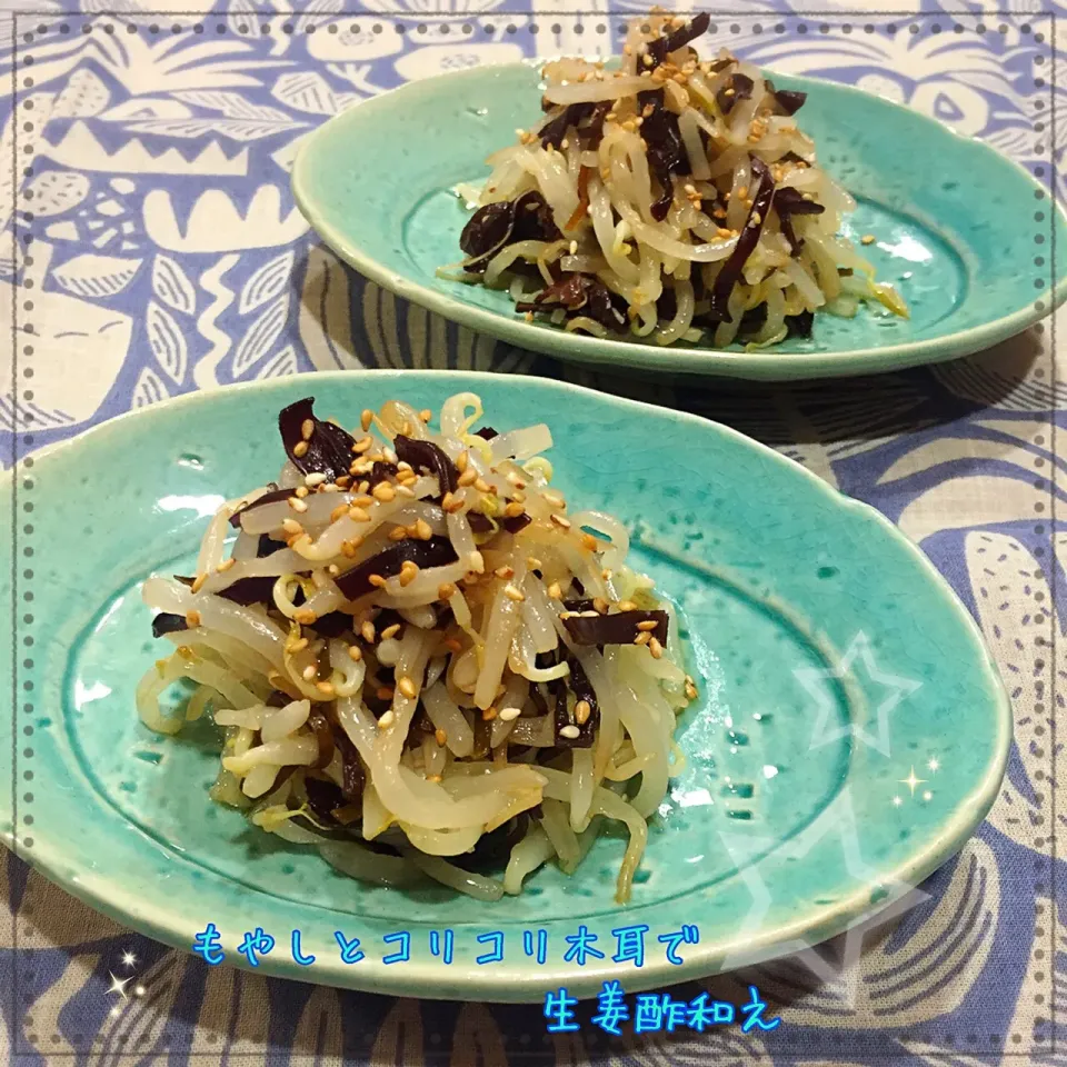 咲きちゃんの💕 もやしとコリコリ木耳で生姜酢和え|こずえ⑅◡̈*さん