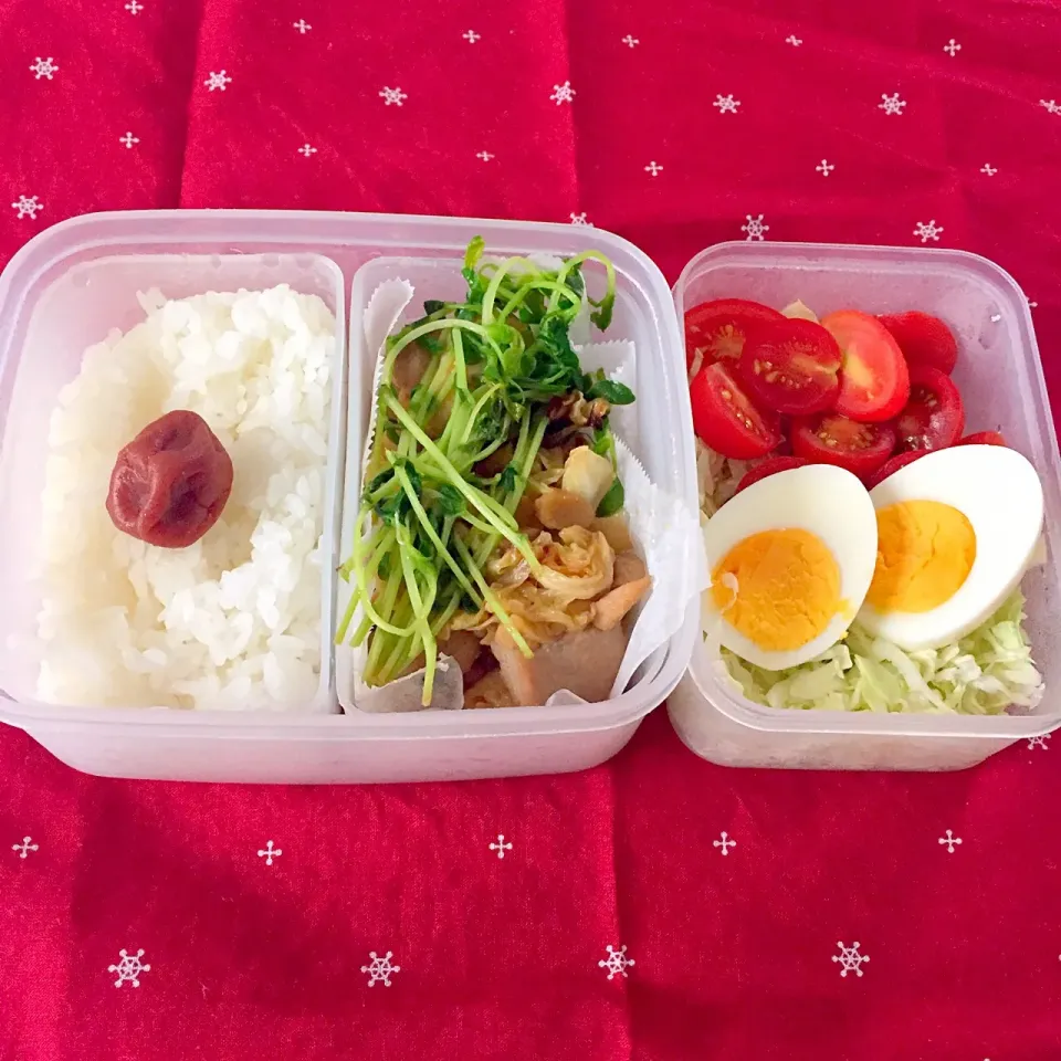 Snapdishの料理写真:鶏肉の生姜焼き弁当|とにおさん