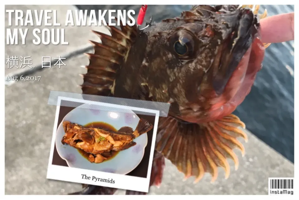 #❤️まーくん亭❤️ #カサゴ#岸壁ジギング#釣りたて#甘辛煮で美味しい|kuririnさん