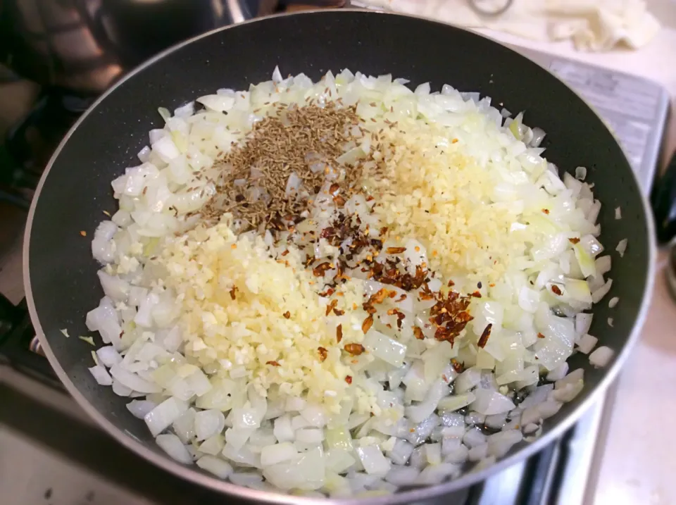 三日間かけて作るカレー
玉ねぎと一緒に生姜、ニンニク、グローブ、唐辛子🌶を|Takeshi  Nagakiさん