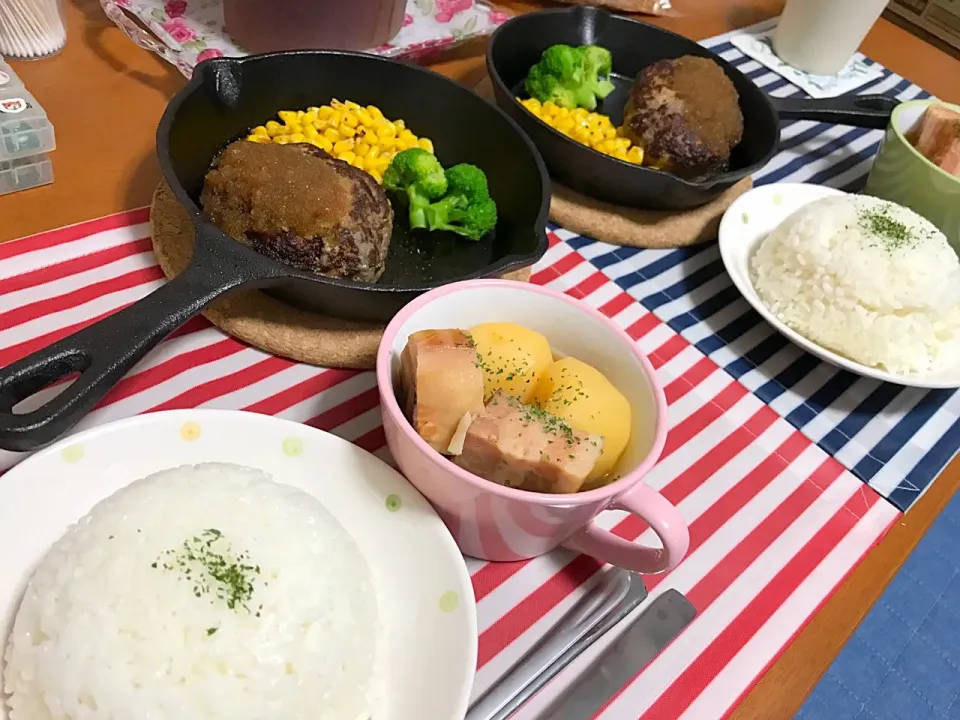 ハンバーグ
ポトフ
ご飯
#夜ご飯|めぐひめさん