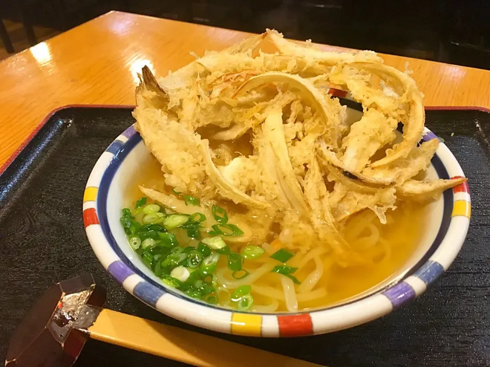 うどん屋  久兵衛  『名物  ごぼう天うどん』|コージ💫さん