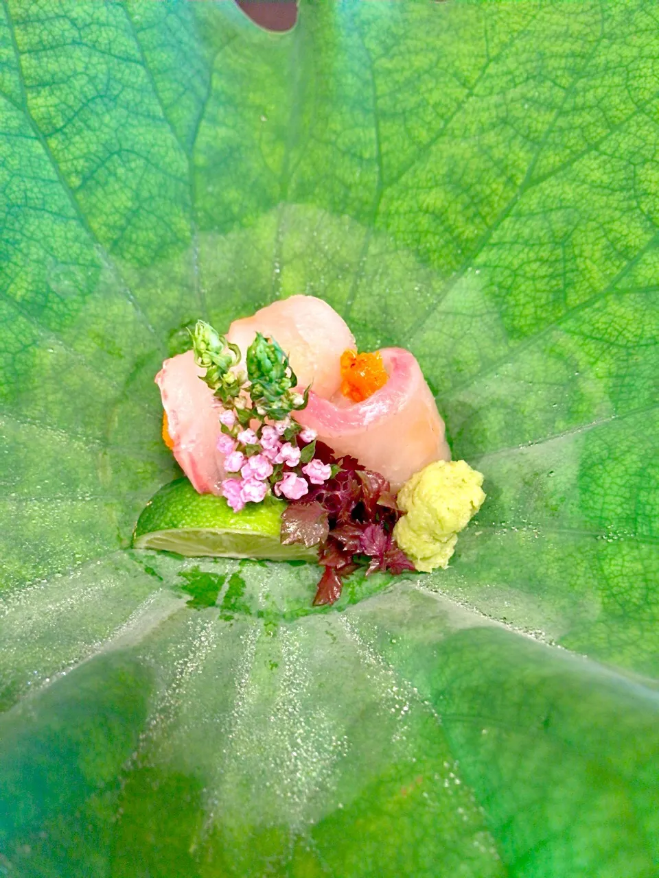 お造り 鳴門鯛と本鮪|流線形さん