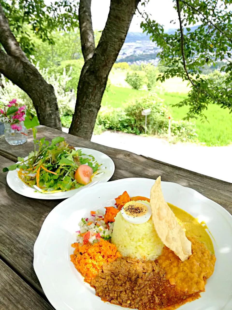 生駒　ラッキーガーデン
スリランカ　カレー|korinoさん