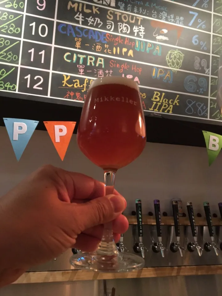 Mikkeller CITRA 單一酒花 Single Hop IPA|PegaOさん