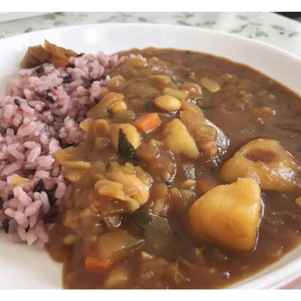 地元の野菜たっぷり黒米カレ〜🍛驚愕の330yenʕ-̼͡-ʔ#実家の食卓チックな光景|七海さん