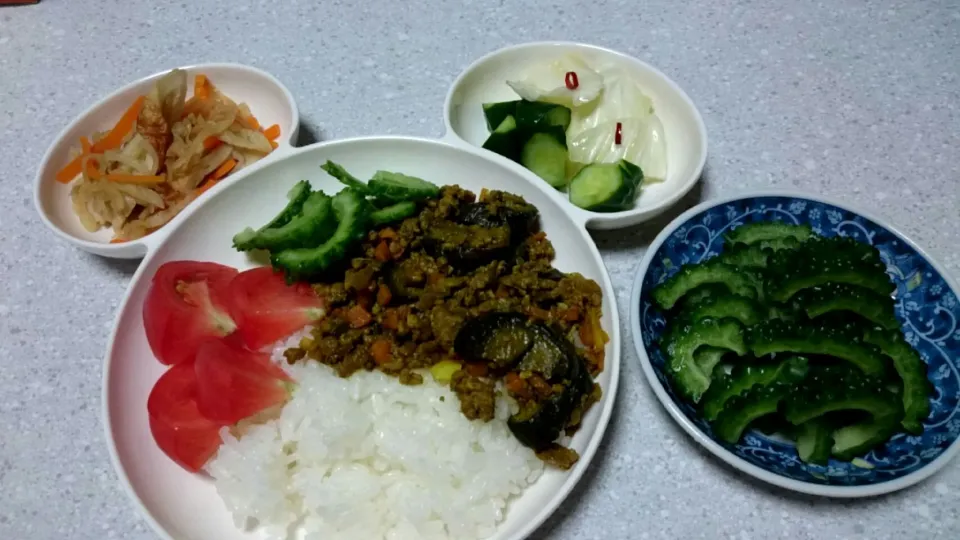 切り干し大根の煮物
キャベツときゅうりの浅漬け
ナスとニンジンのドライカレー トマトとゴーヤ乗せ
ゴーヤの糠漬け|あまねさん