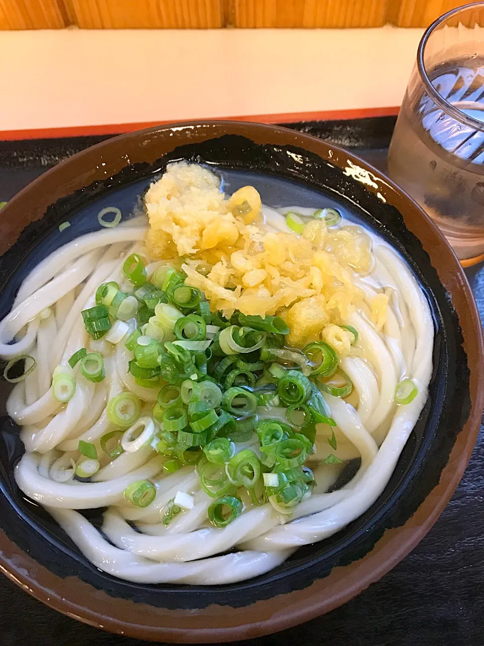 夏のうどん県で 冷かけを食す|sayakaさん