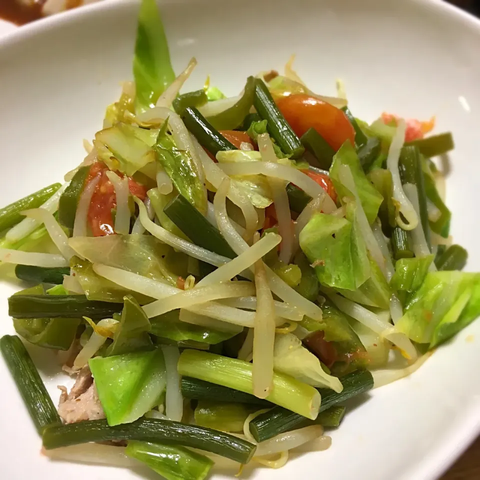 肉野菜炒め|こいちさん