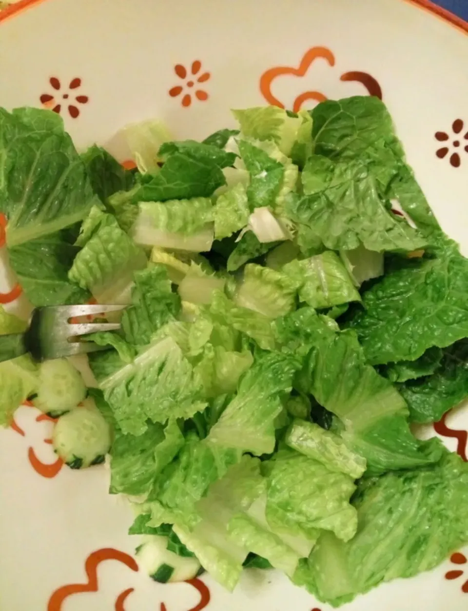 Romaine Lettuce, Cucumber|Athenaさん