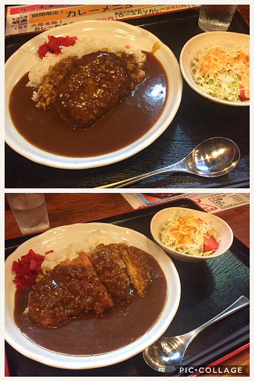 ハンバーグカレーとロースとんかつカレー🍛*\(^o^)/*|すかラインさん