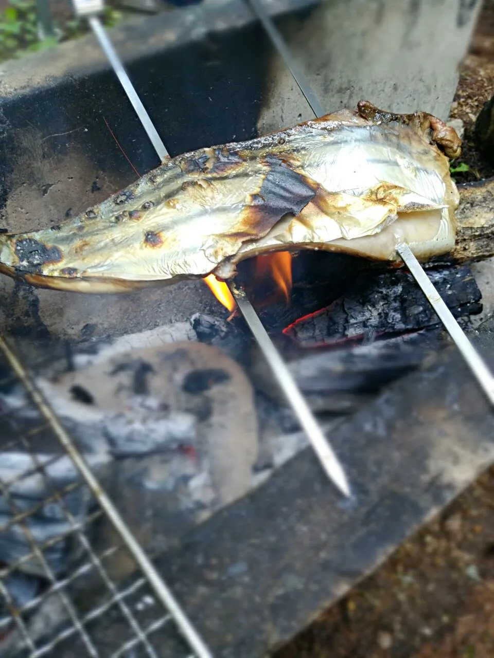 Snapdishの料理写真:キャンプ飯 カツオのたたき|ほのほのさん