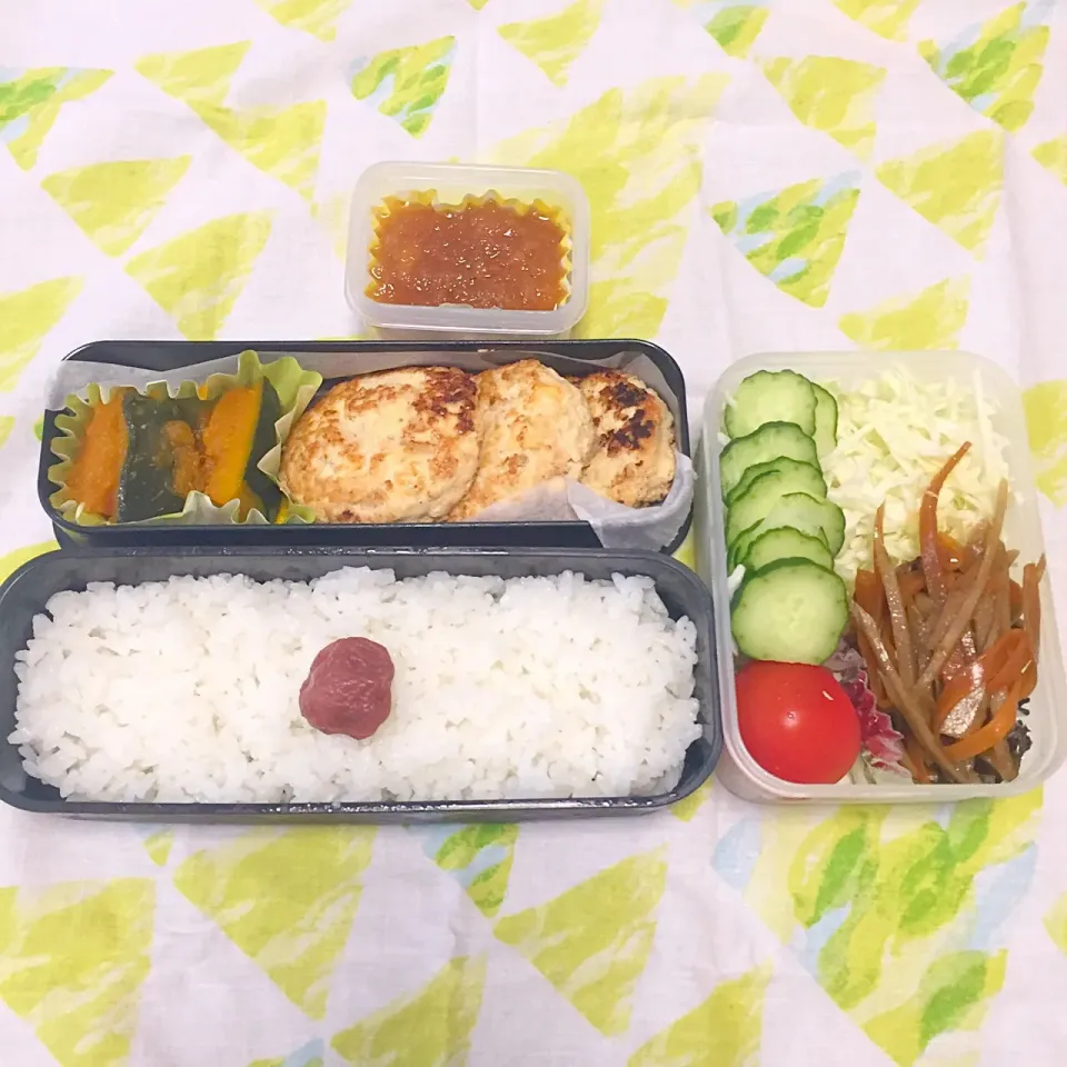 鶏ハンバーグのおろしソース弁当|とにおさん