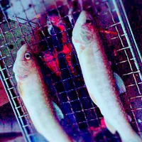 Snapdishの料理写真:天然岩魚に塩を振り焼けた岩魚に醤油を数滴|まぷくままさん