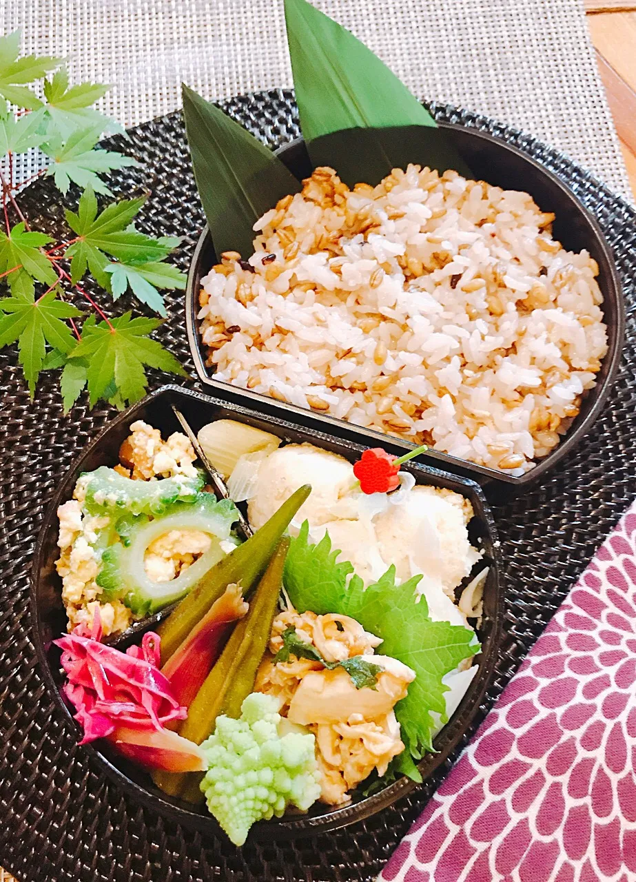 Snapdishの料理写真:ヘルシー弁当🍱|Ayako Sakakibaraさん