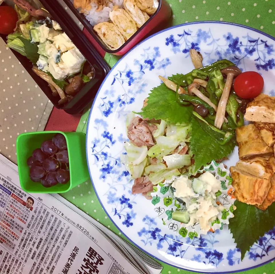 今日のお昼ごはん♫私はお弁当〜|チィズママさん