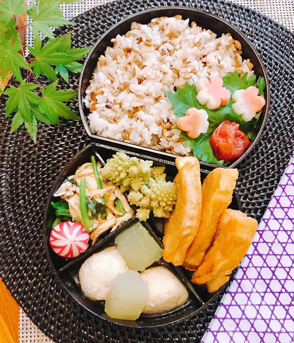 Snapdishの料理写真:ヘルシー弁当🍱|Ayako Sakakibaraさん