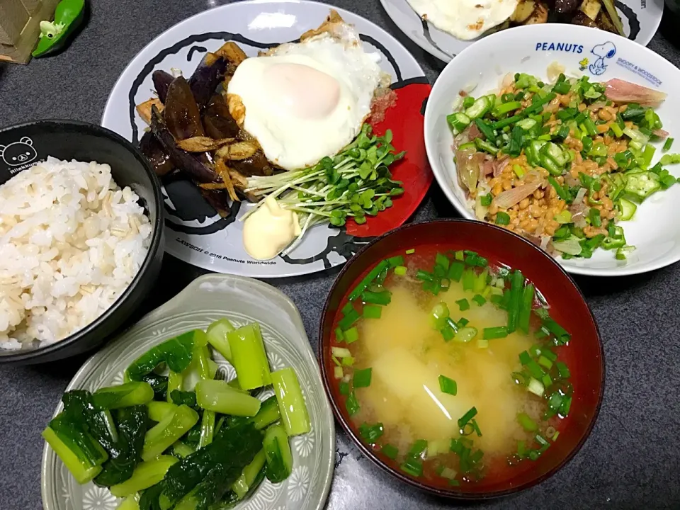 もち麦飯、茄子生姜焼き、目玉焼き(ターンオーバーじゃないやつ)、じゃがネギ味噌汁、薬味たっぷり(ネギおくらミョーガ)、野沢菜、カイワレマヨ、|ms903さん