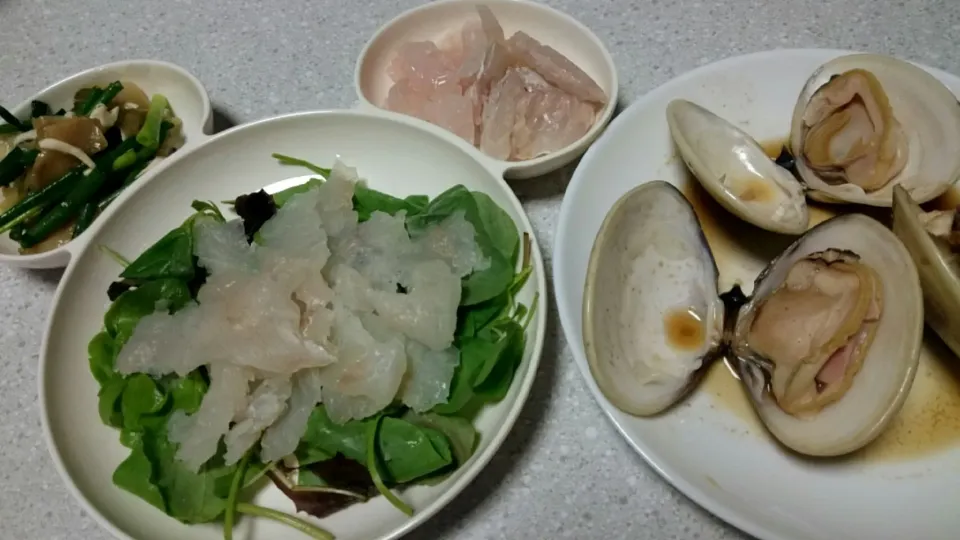 蒸し鶏とねぎとザーサイサラダ
釣れたてヒラメの縁側と釣れたてカサゴの刺身
釣れたてヒラメのカルパッチョ
焼き蛤！|あまねさん