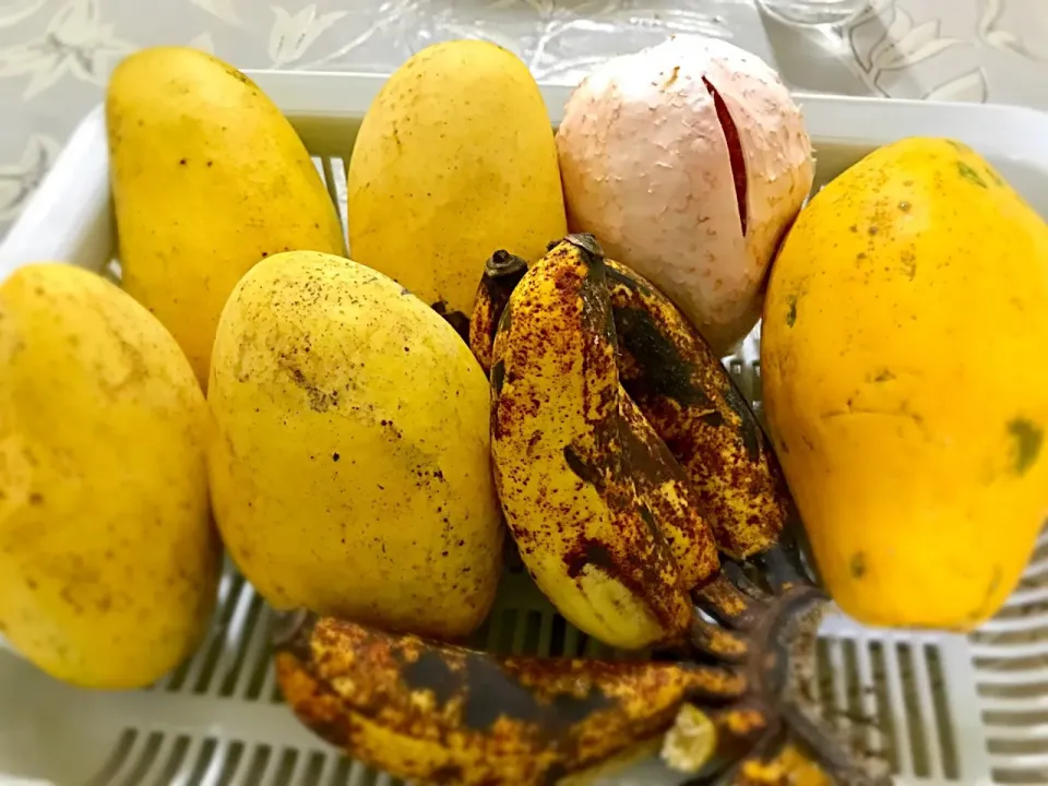 Philippine mangoes|judith sawahataさん