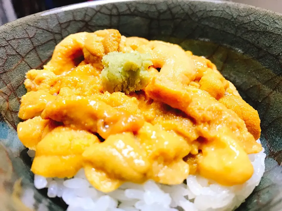 Snapdishの料理写真:#北海道#積丹の雲丹#ウニ丼
#しあわせ〜 
朝からウニ丼！！😏😏😏😏
ドヤっていいっすか？（笑）
あー、やっぱなまらうまいべさー。🤣🤣🤣🤣|松澤美穂さん