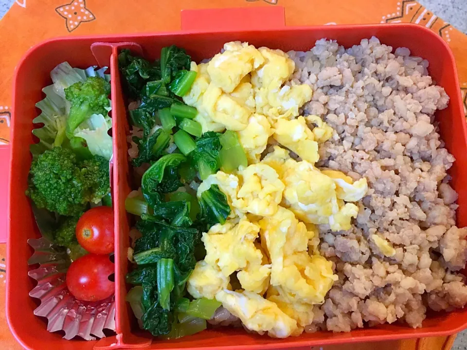 ☆8/25今日のお弁当☆〜三色そぼろ弁当、サラダ付き〜|Satokoさん