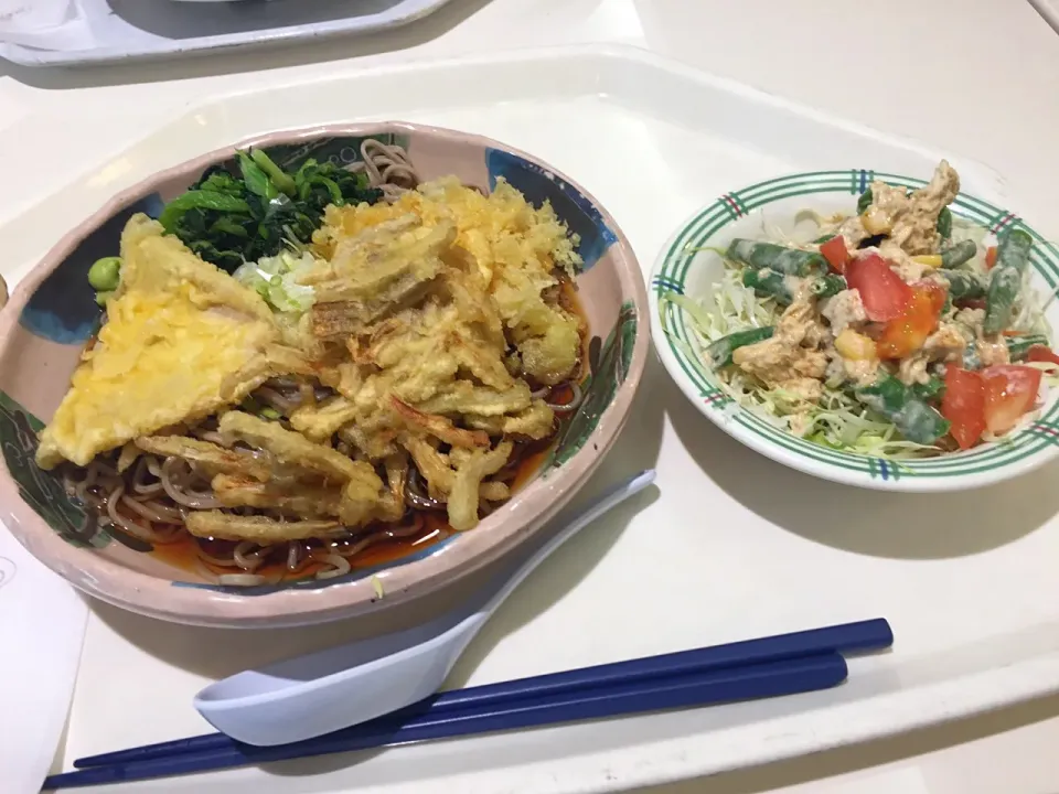 Snapdishの料理写真:冷しぶっかけ蕎麦、ごぼう天、キス天、青菜、揚げ玉、チキンとインゲンの胡麻サラダ|Tadahiko Watanabeさん