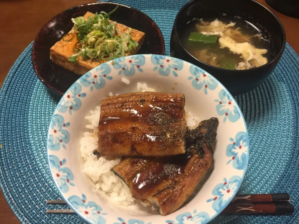 鰻丼|愛ペガさん