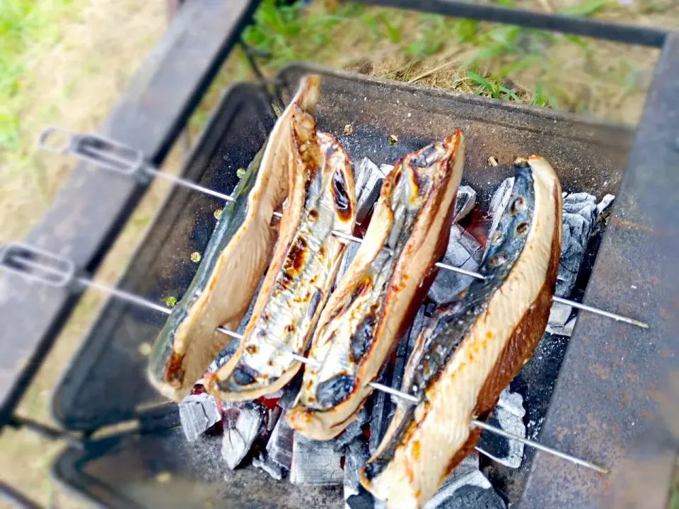 カヌー進水式|ほのほのさん