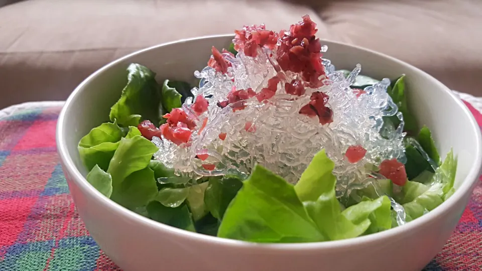 サラダ菜とマリンパスタのサラダ|しあるさん