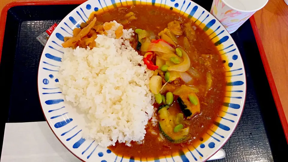 すき家のスパイシーチキン野菜カレーライス🍛|mky710801さん