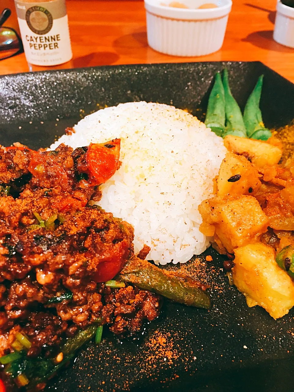 ナスと挽肉カレー、じゃが芋とインゲンのカレー|てつさん